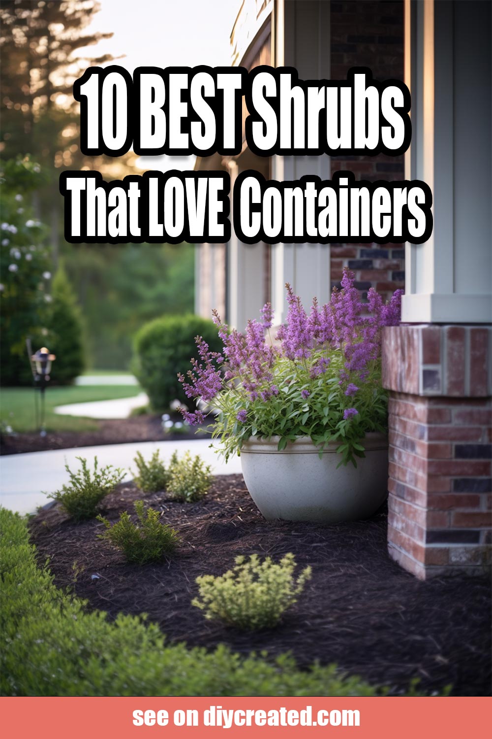 10 Best Shrubs For Containers – DIY CREATED